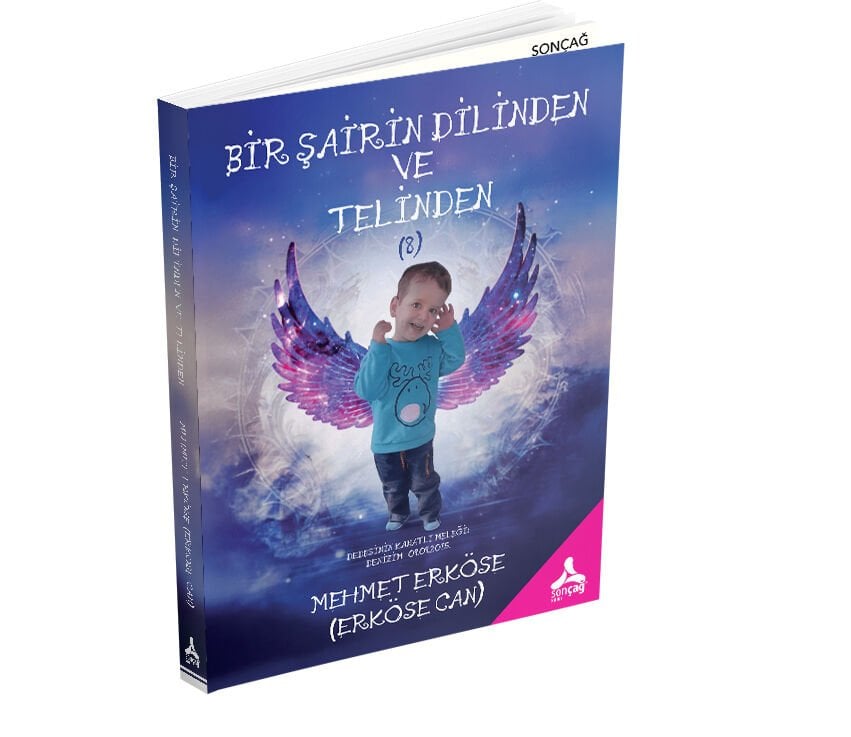 BİR ŞAİRİN DİLİNDEN VE TELİNDEN