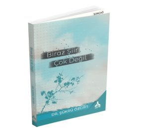 BİRAZ ŞİİR ÇOK DEĞİL