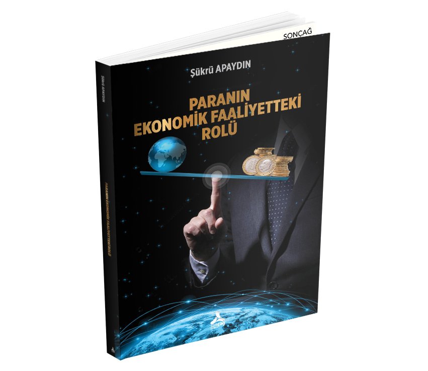 PARANIN EKONOMİK FAALİYETTEKİ ROLÜ