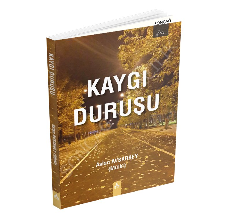 KAYGI DURUŞU