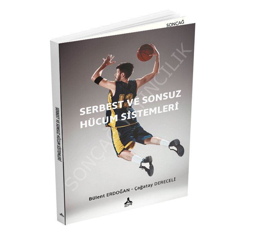 SERBEST VE SONSUZ HÜCUM SİSTEMLERİ