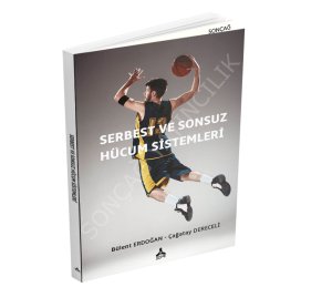 SERBEST VE SONSUZ HÜCUM SİSTEMLERİ