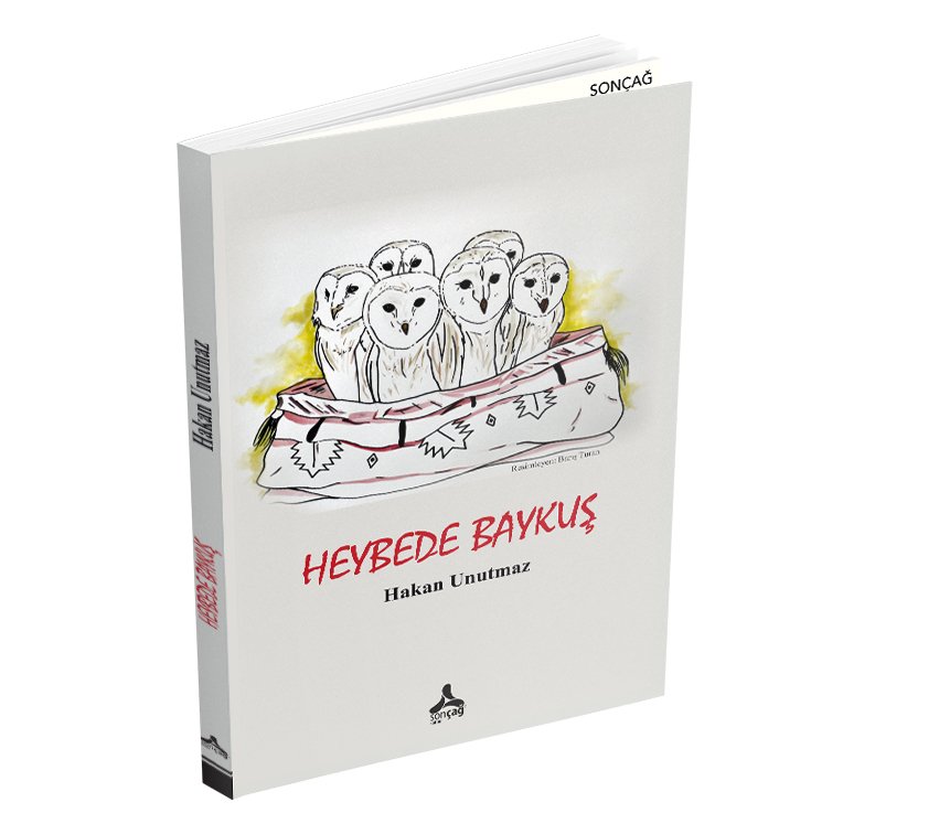 HEYBEDE BAYKUŞ